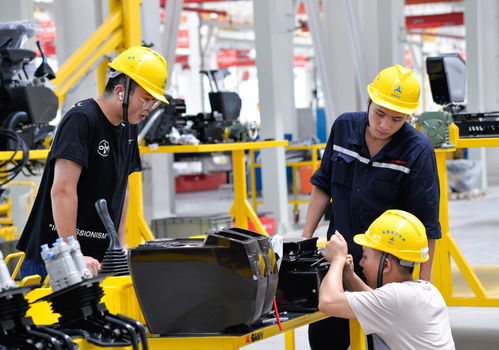 丝路之弦，江潮之韵 一带一路与长江经济带的社会经济咨询交响曲