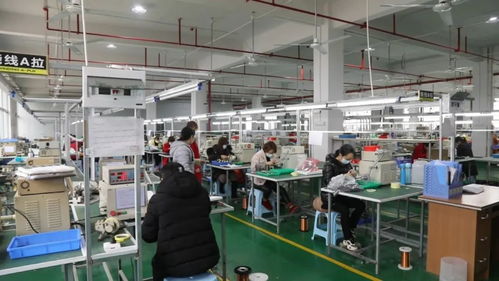 “两手抓”赋能鹤城速度 工业集中区以优质服务驱动经济社会高质量发展