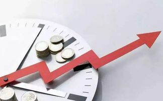 商品经济的基本规律与专业社会经济咨询服务的价值